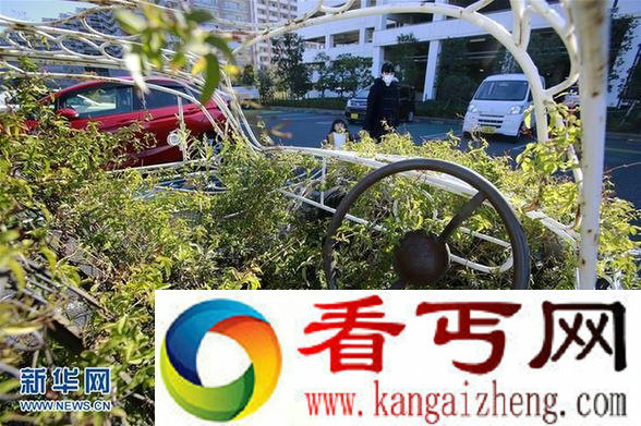 街头绿色艺术 街头3d立体画图片