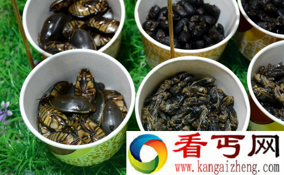 沈阳现重口味昆虫宴 夜市现另类昆虫宴