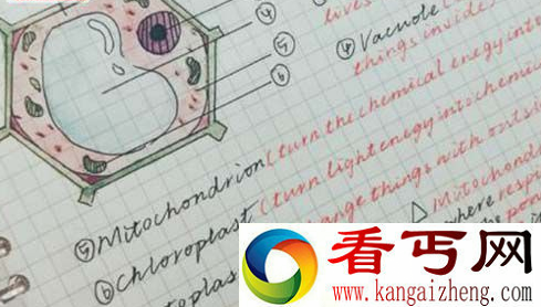 大连女老师走红网络 美女学霸手抄笔记走红
