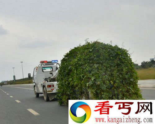 盘点十大最雷人事件 瞬间感觉天雷滚滚