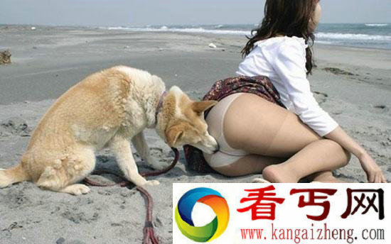 女人和狗在野外交配 没想到竟然发生这事