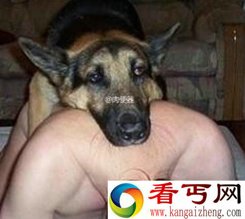 女人和狗在野外交配 没想到竟然发生这事