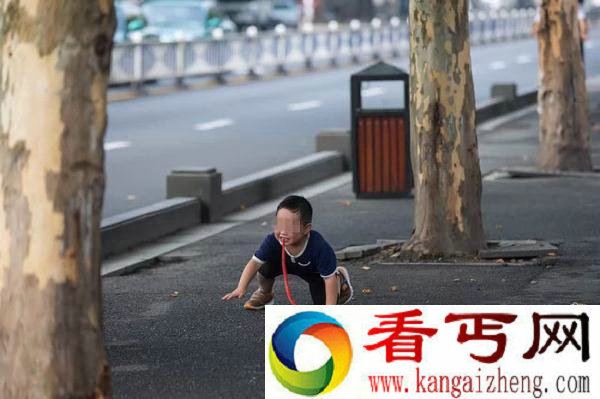 大妈让孙子学狗爬 知道真相后让人忍俊不禁