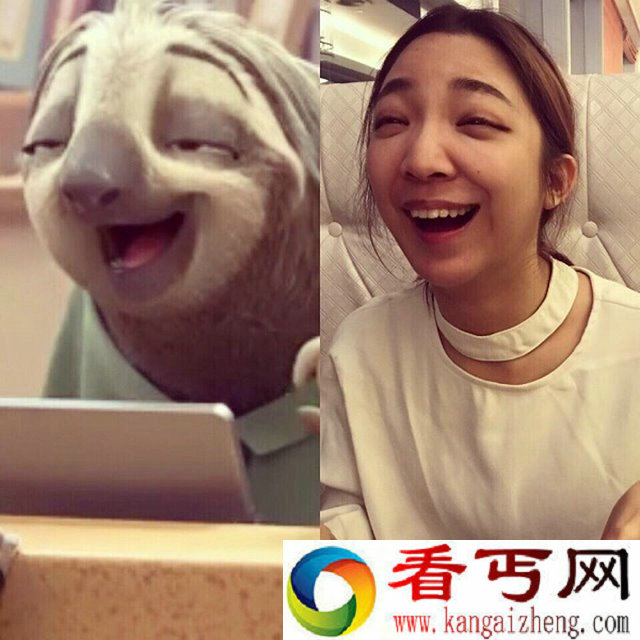 好奇树懒进发电厂 树懒竟然也会工作了