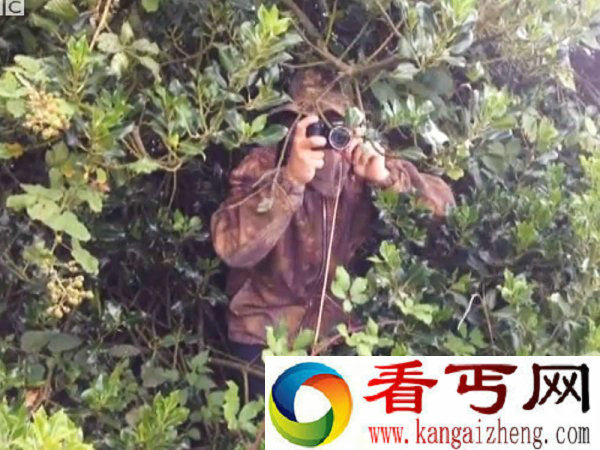 不捡狗屎就报警？ 卡车司机成“狗屎终结者”