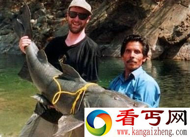 只对人肉有兴趣的凶残食人鱼类