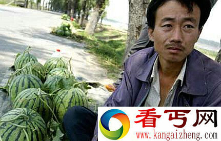 90后小伙买下2000斤西瓜 只为了瓜农不淋雨