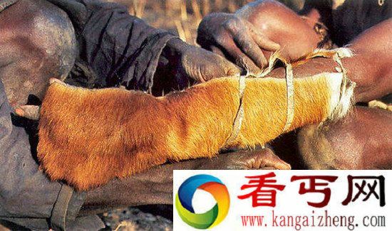 直击非洲危险职业 冒死钻洞徒手捕巨蟒