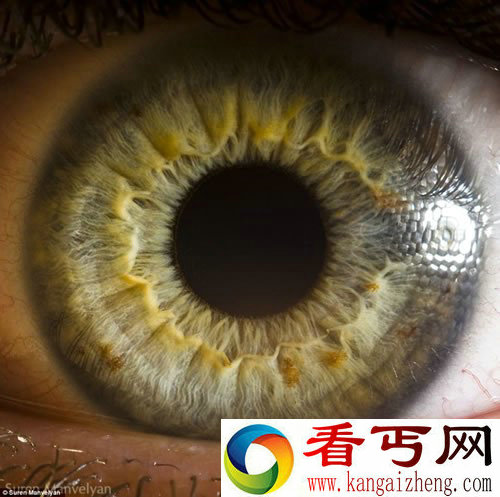 “心灵的窗户” 微距展示人眼虹膜不同寻常的细节