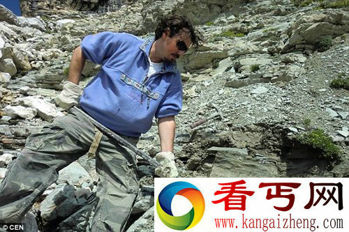 1.28亿年前未知生物全身布满穗状突起 被认为是鱿鱼和章鱼的祖先