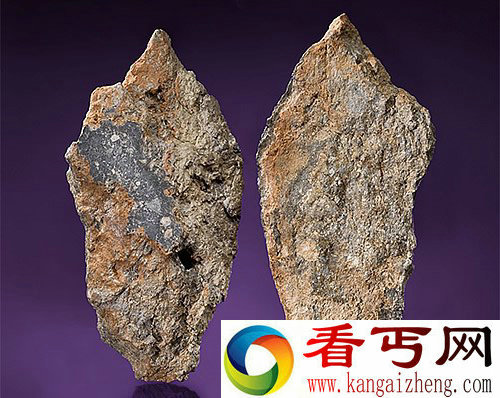 世上最大的月球陨石将拍卖 以442500美元成交
