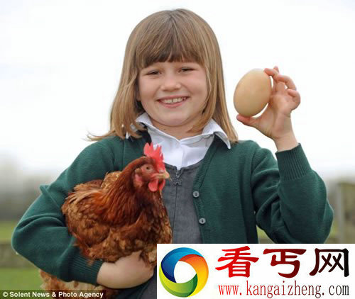 12.7厘米高的大鸡蛋 重达187.11克 极不平凡的大鸡蛋