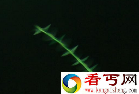 神秘飞棍之谜 飞棍到底是什么