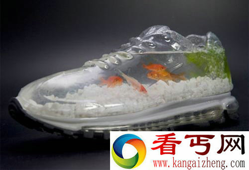 耐克牌金鱼缸 给金鱼一个小小的蜗居