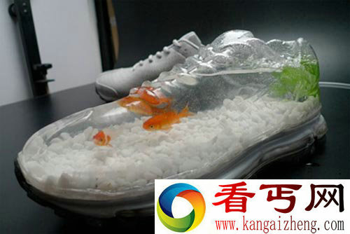 耐克牌金鱼缸 给金鱼一个小小的蜗居