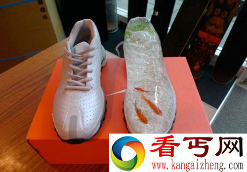 耐克牌金鱼缸 给金鱼一个小小的蜗居