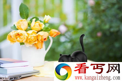 乔波-喵小咪无线路由器 可爱且实用