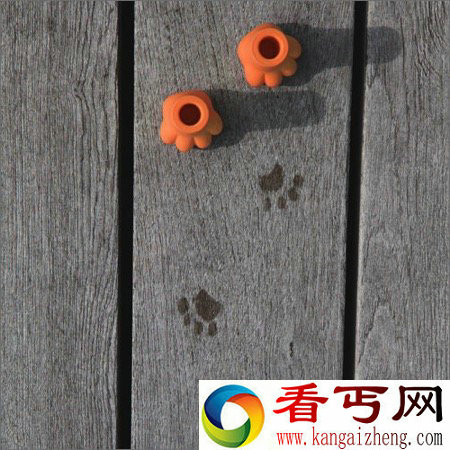 给你温暖呵护的可爱雨伞垫 宠物脚掌造型你能想到么