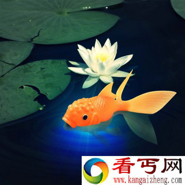 给你的水族箱一个闪亮装饰 触水即亮的金鱼
