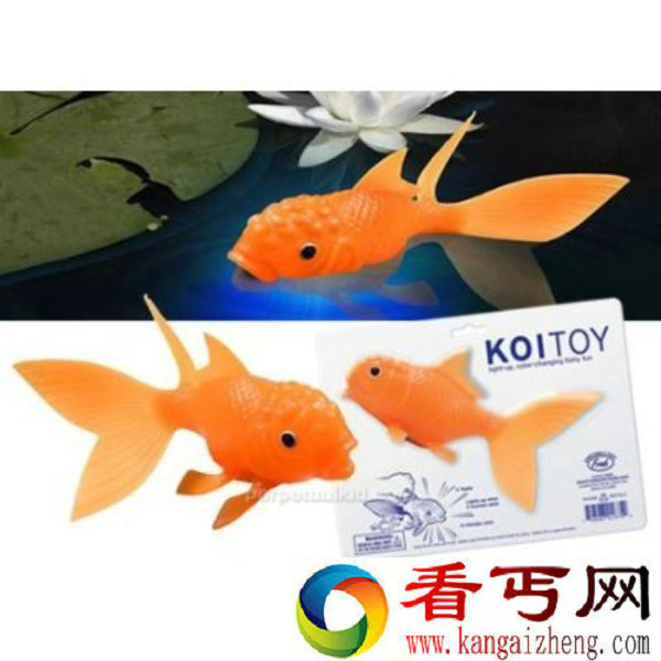 给你的水族箱一个闪亮装饰 触水即亮的金鱼
