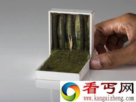小盒子里的袖珍景致