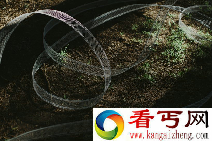 婚礼上美轮美奂的丝缎肖像