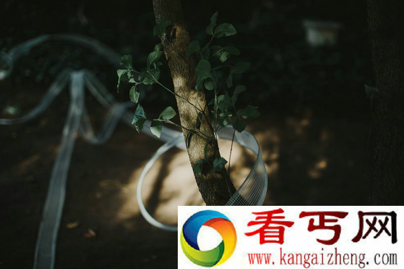 婚礼上美轮美奂的丝缎肖像
