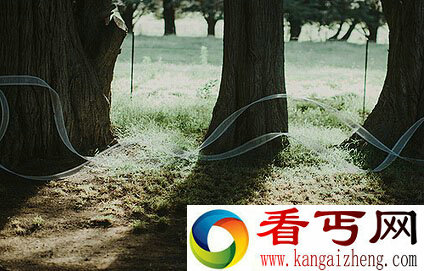 婚礼上美轮美奂的丝缎肖像