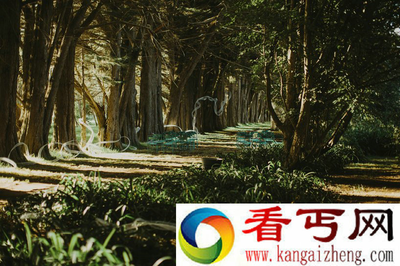 婚礼上美轮美奂的丝缎肖像
