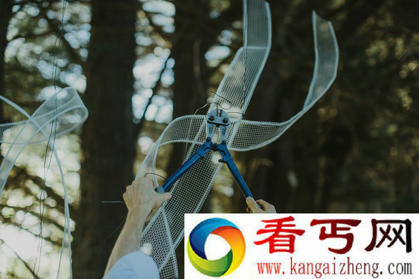 婚礼上美轮美奂的丝缎肖像