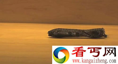 超级间谍 砸不烂的蠕虫机器人