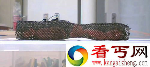 超级间谍 砸不烂的蠕虫机器人