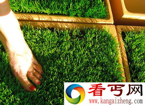 草砖 绿色你的阳台 方便用户随时随地的拆除和新建