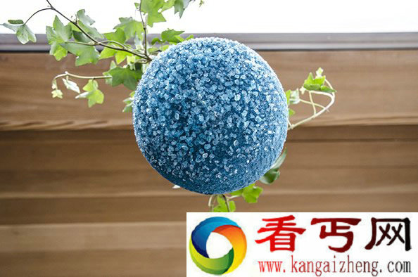 植物与花盆融为一体 用静态的容器承载鲜活物体