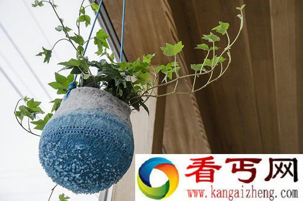 植物与花盆融为一体 用静态的容器承载鲜活物体