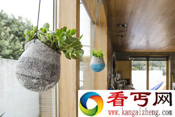 植物与花盆融为一体 用静态的容器承载鲜活物体
