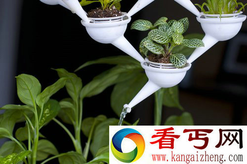 迷你种植系统 3D打印模块化盆栽