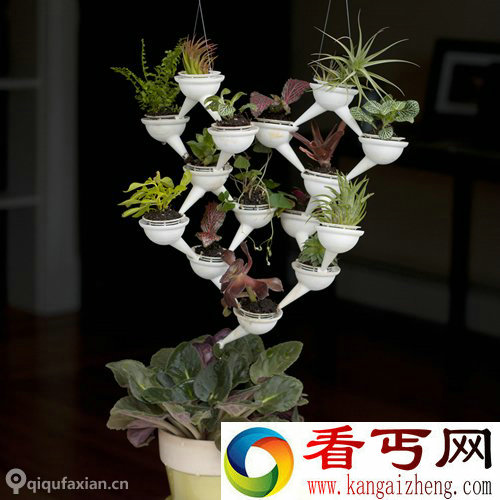 迷你种植系统 3D打印模块化盆栽