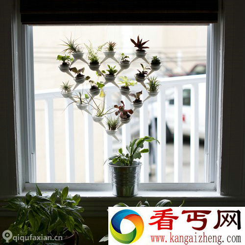 迷你种植系统 3D打印模块化盆栽
