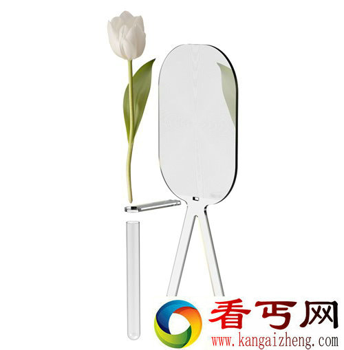 big bloom菲涅尔透镜花瓶 放大花的细节