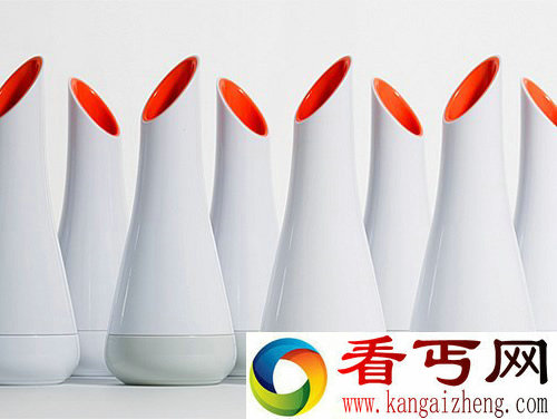 Vase Mills 这不是花瓶 是厨房常见的胡椒研磨器
