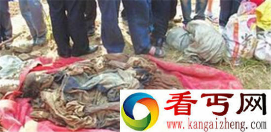 巴基斯坦半人狐妖 巴基斯坦狐妖是真的吗