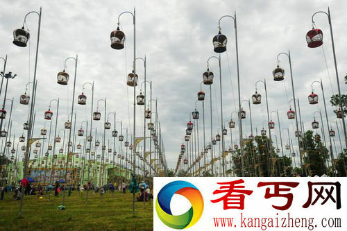 泰国鸟儿歌唱比赛 竞争堪称激烈