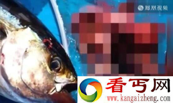 男子钓到一条大鱼 剖开后却惊呆了