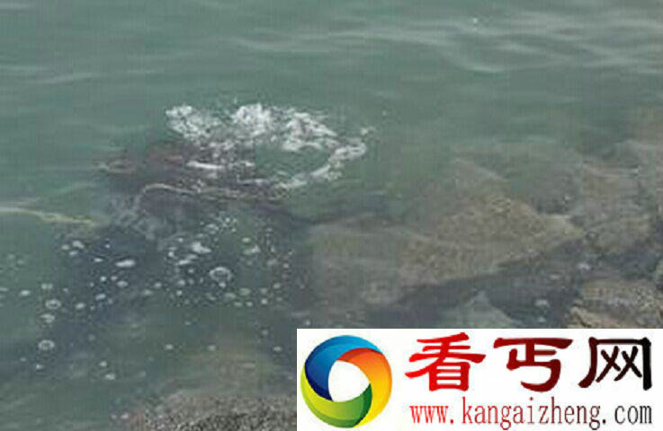水鬼真的存在么 水鬼其实就是水猴子么