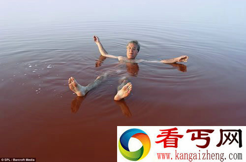 “草莓奶昔”湖 有些区域的盐度竟高达40%