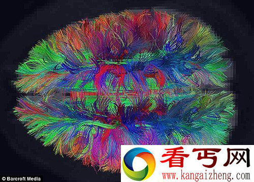 宇宙中最复杂的地形 美妙的人脑内部结构
