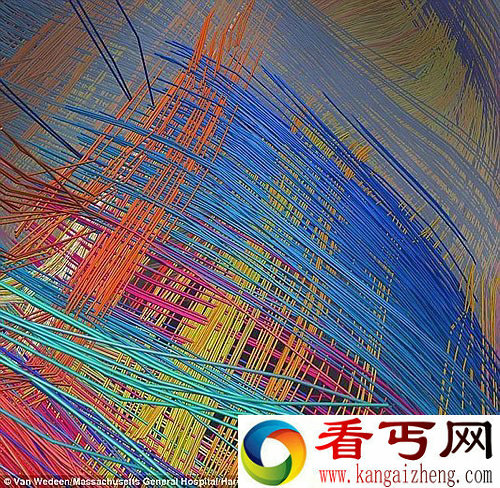 宇宙中最复杂的地形 美妙的人脑内部结构