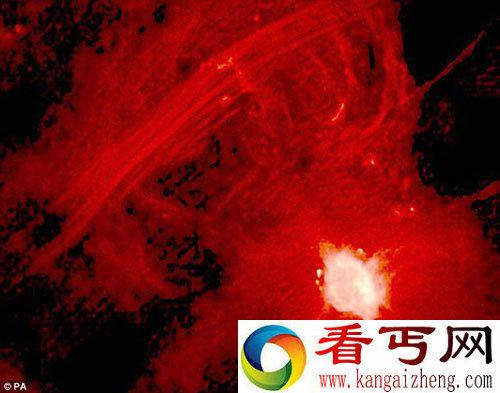 银河系的黑洞“流浪者”