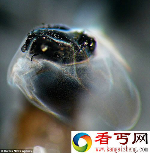 蜡烛熄灭时 一瞬间的情景